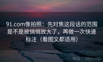 91.com像拍照：先对焦这段话的范围是不是被悄悄放大了，再做一次快速标注（看图文都适用）
