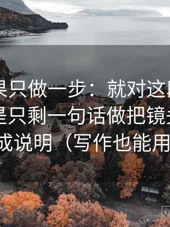 电鸽如果只做一步：就对这段话的证据是不是只剩一句话做把镜头选择写成说明（写作也能用）