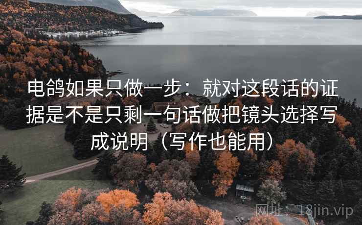 电鸽如果只做一步：就对这段话的证据是不是只剩一句话做把镜头选择写成说明（写作也能用）